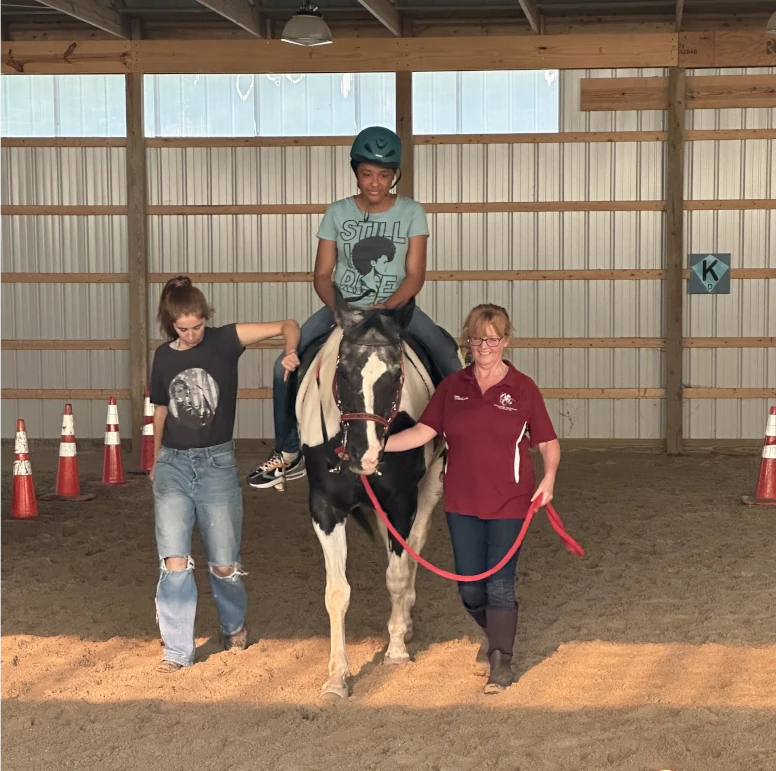 Calling All Equine Therapy Volunteers
