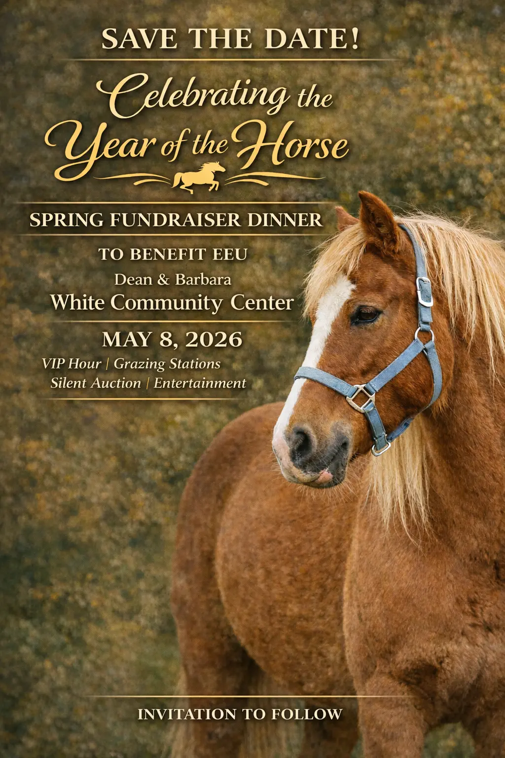 Save the Date EEU Spring Fundraiser Dinner celebrating Year of the Horse